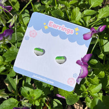 Load image into Gallery viewer, Pride Earrings