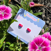 Load image into Gallery viewer, Pride Earrings