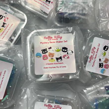 Load image into Gallery viewer, Mystery Sanrio Resin Keychain & Pin Baggie