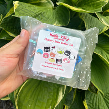 Load image into Gallery viewer, Mystery Sanrio Resin Keychain & Pin Baggie