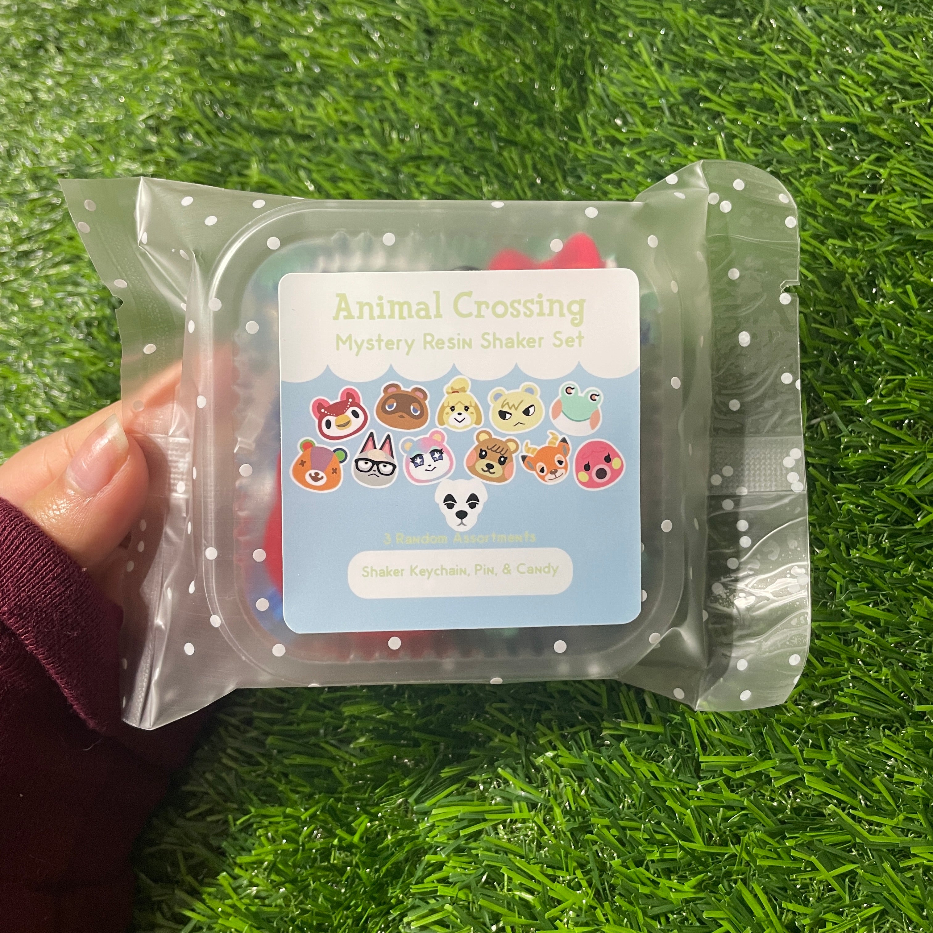 Mystery AC Resin Keychain & Pin Baggie