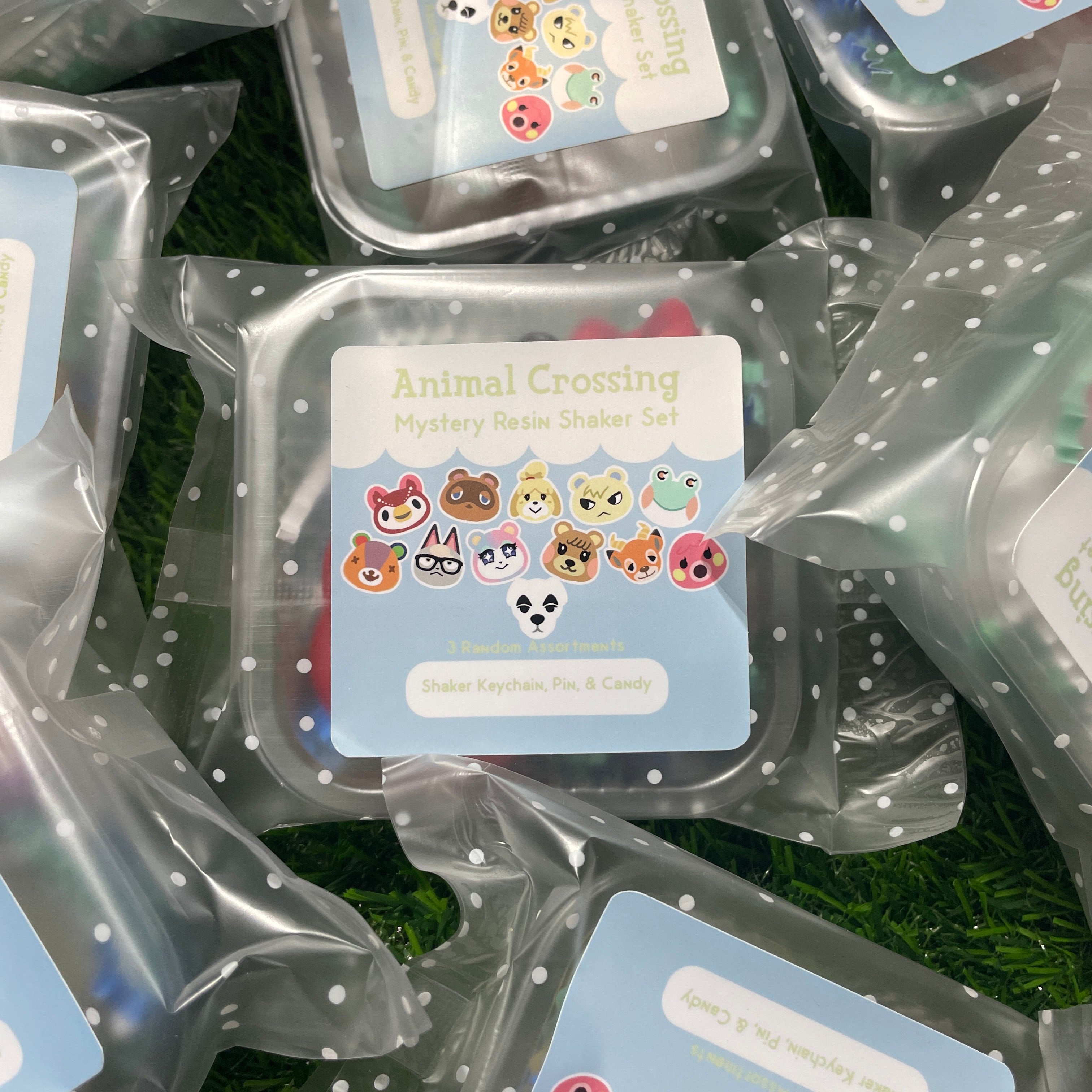 Mystery AC Resin Keychain & Pin Baggie