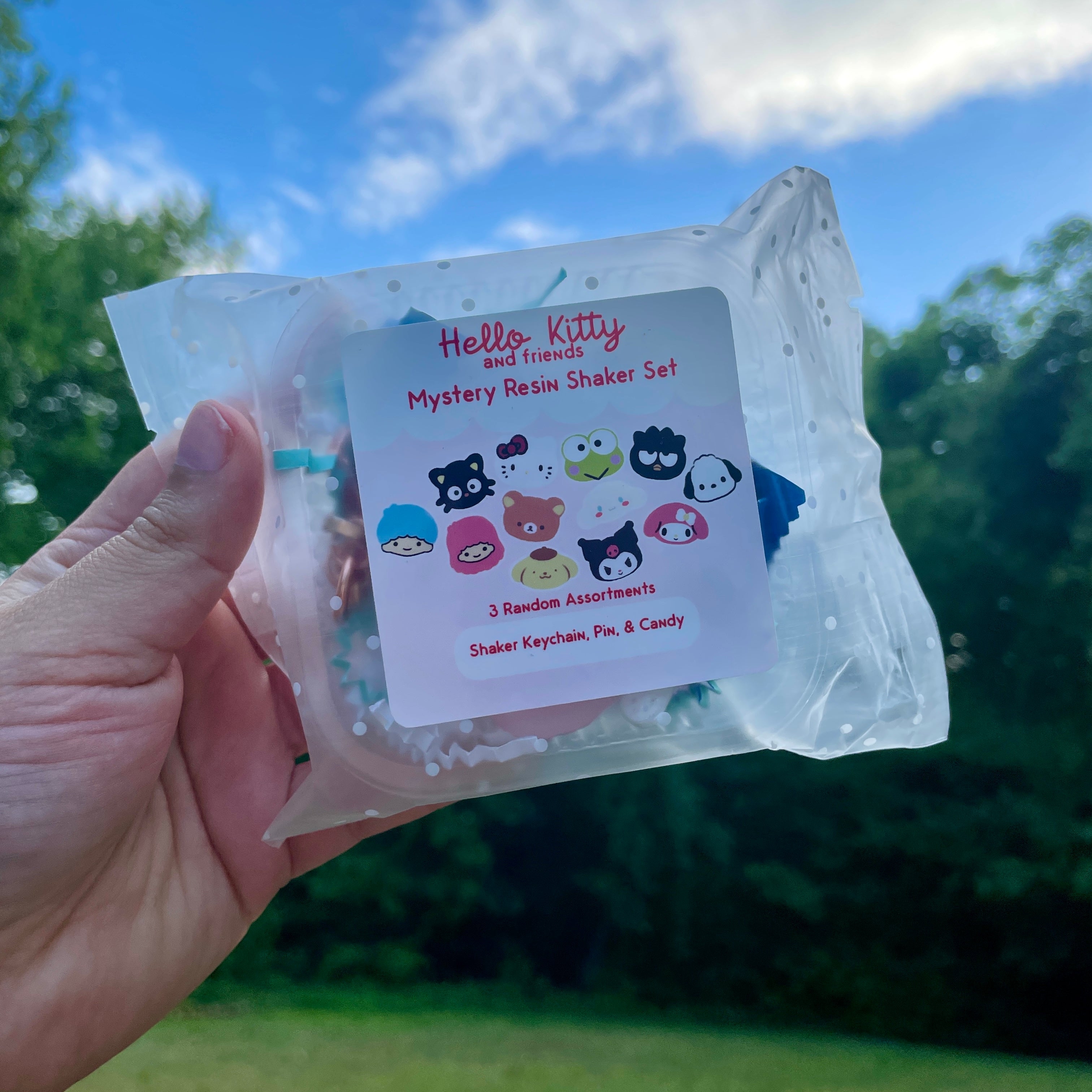 Mystery Sanrio Resin Keychain & Pin Baggie