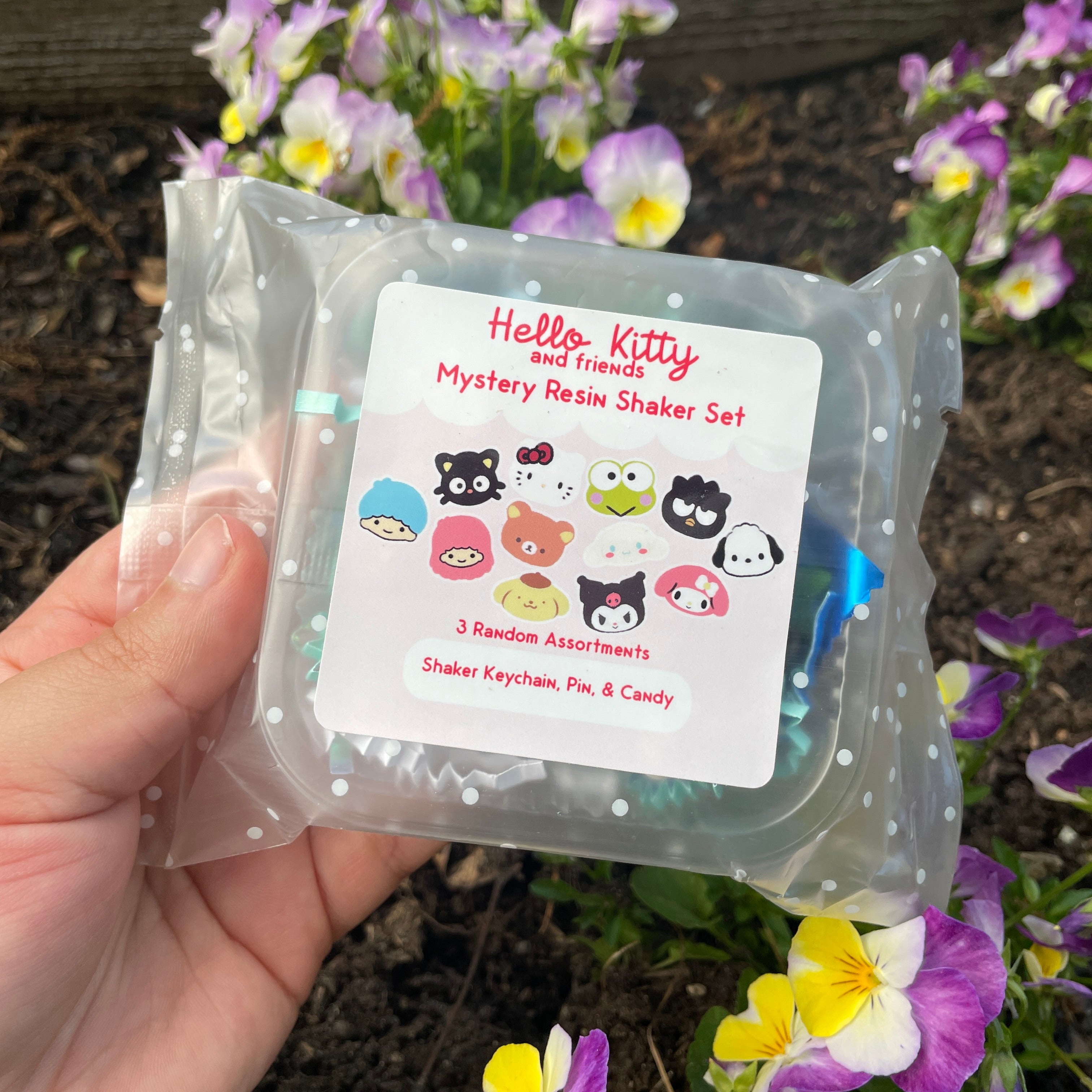 Mystery Sanrio Resin Keychain & Pin Baggie